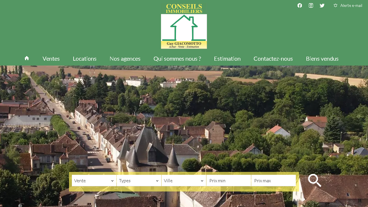 Capture d'écran de http://www.conseils-immobiliers.com/ 